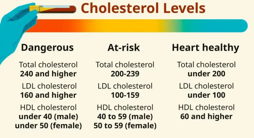 Lipidogram co to? Tabela poziomu cholesterolu: niebezpieczny, podwyższonego ryzyka, serce zdrowe.