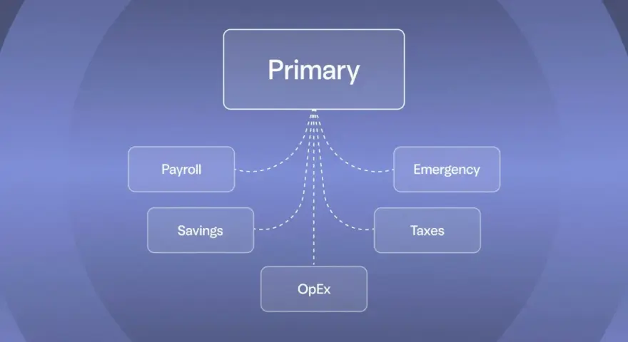 Diagram showing a "Primary" account connected to multiple business checking accounts: Payroll, Savings, OpEx, Emergency, and Taxes.