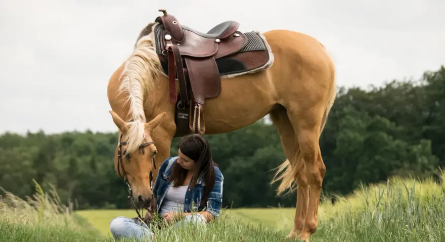 Une jeune femme assise dans l'herbe caresse un Quarter Horse à la robe dorée, sellé pour une promenade.