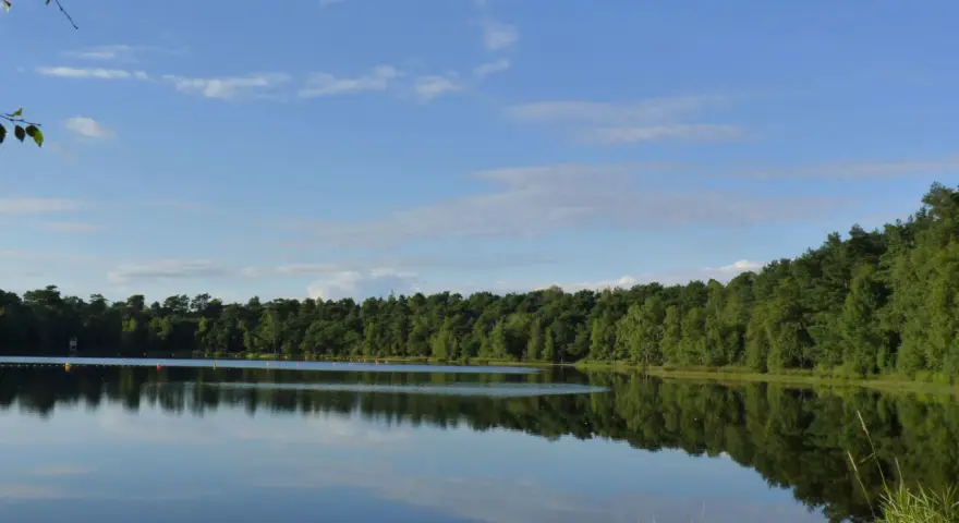 Idyllischer Bullensee in Rotenburg, umgeben von dichtem grünen Wald, spiegelt sich im ruhigen Wasser unter blauem Himmel mit Wolken.
