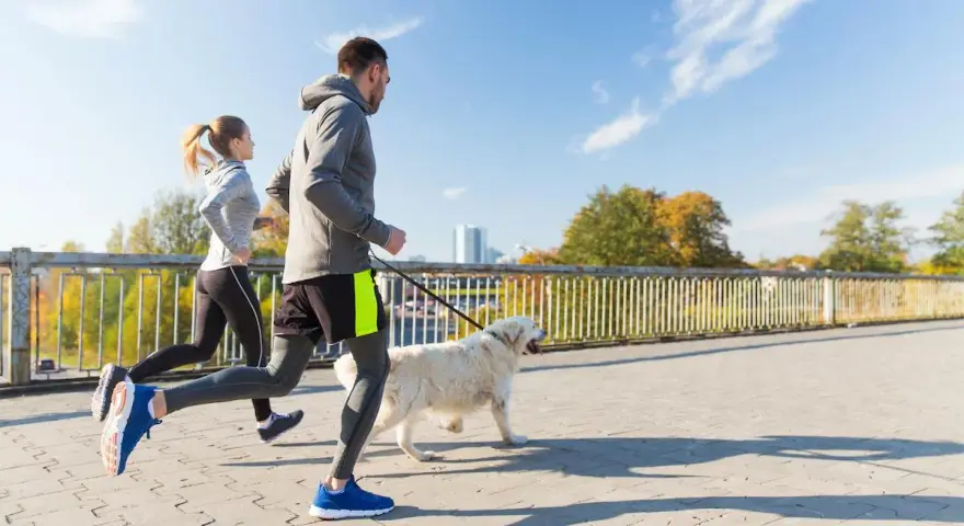 Coppia che corre con il cane su un ponte in una giornata di sole.