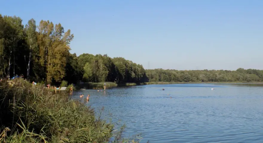 Letnie popołudnie nad jeziorem Rogoźnik. Ludzie kąpią się i odpoczywają na plaży wśród zieleni.