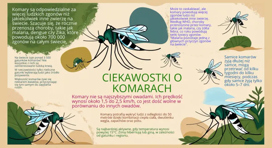 Czy komary są pożyteczne? Większość żywi się nektarem, zapylając rośliny. Choć przenoszą choroby, nie wszystkie gatunki piją krew.