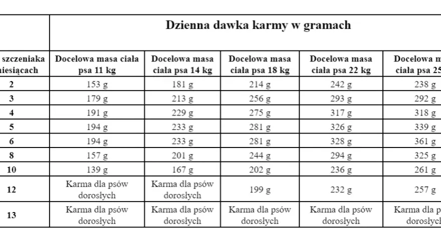 Ile karmić szczeniaka, aby zapewnić mu zdrowy rozwój i wagę?