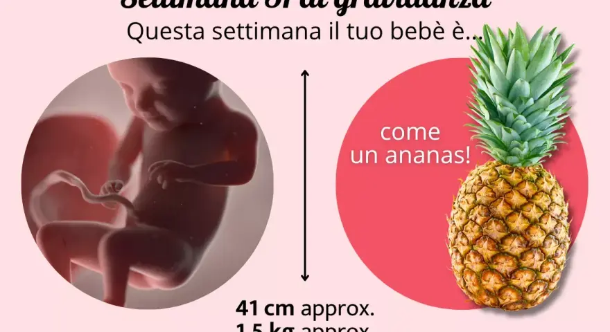 A 31 settimane di gravidanza, il tuo bimbo è grande come un ananas! Pesa circa 1,5 kg.