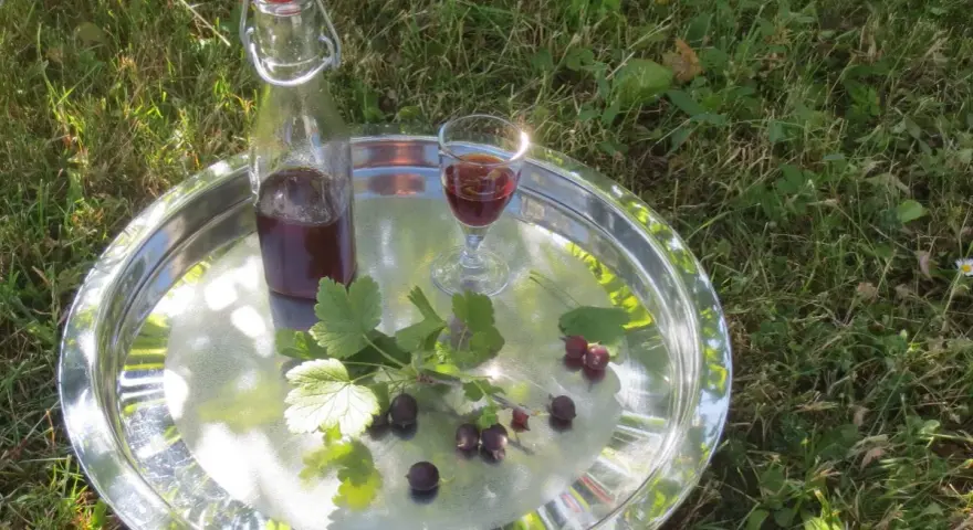 Ein Glas und eine Flasche mit dunklem Saft, garniert mit Jostabeeren und Blättern, auf einem Tablett im Gras. Perfekt für Jostabeere Rezepte.