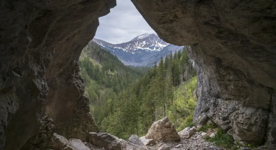 Widok z jaskini w Tatrach na ośnieżone szczyty i gęsty las.