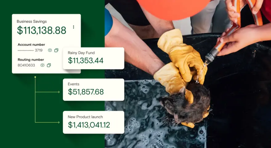A nonprofit's reserves: $113k business savings, $11k rainy day fund, $51k events, and $1.4M for a new product launch.