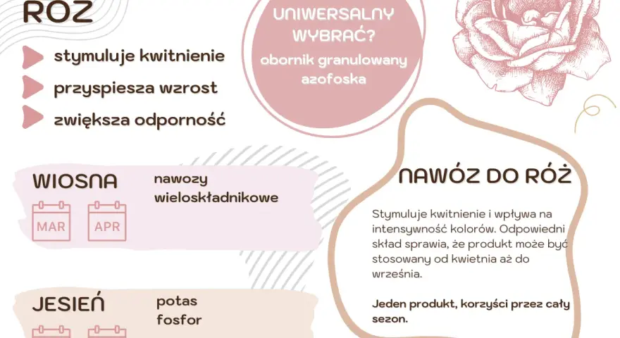 Domowy nawóz do róż stymuluje kwitnienie, przyspiesza wzrost i zwiększa odporność. Stosuj wiosną i jesienią.