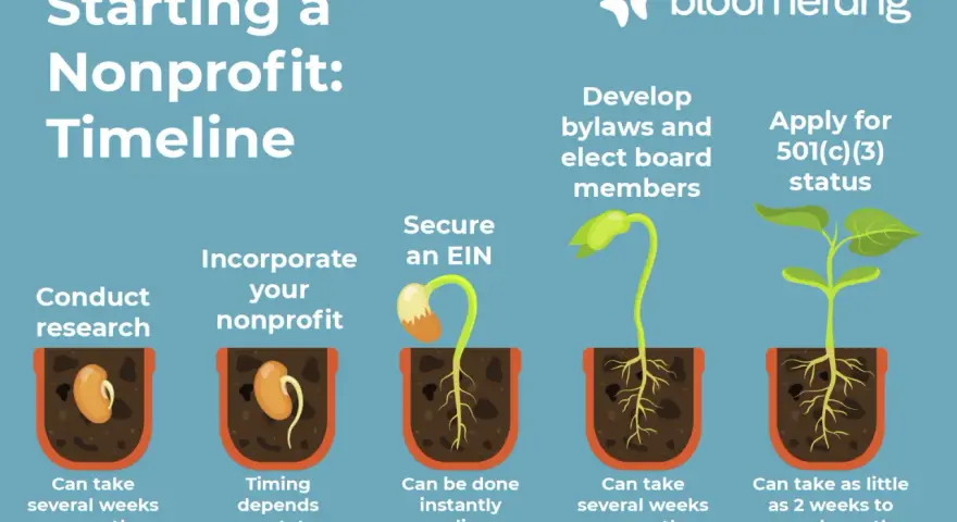 Timeline for starting a nonprofit: research, incorporate, secure EIN, develop bylaws, apply for 501(c)(3) status. Each step is illustrated as a growing seedling.