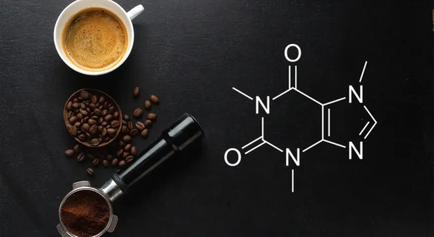 Kawa, ziarna, portafilter i wzór chemiczny kofeiny. Czy kofeina to narkotyk? To pytanie zadaje sobie wielu miłośników kawy.