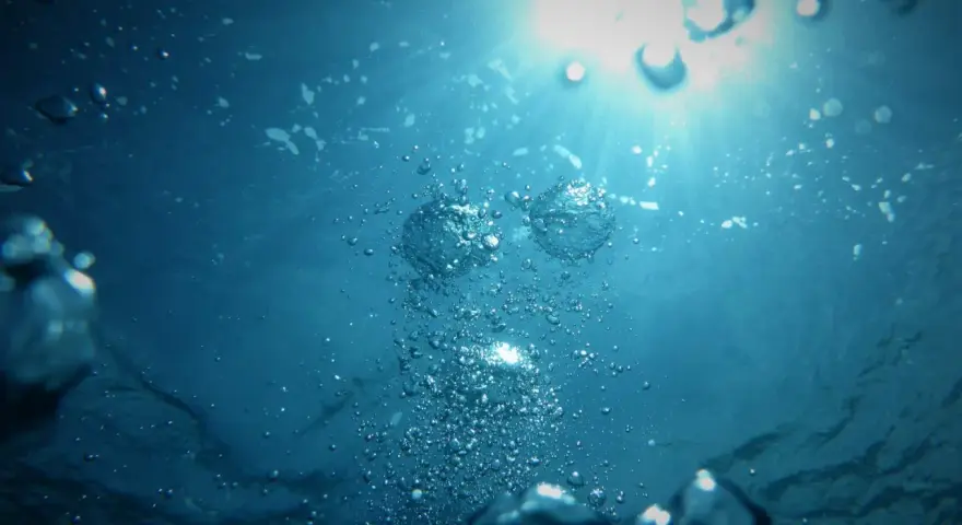 Burbujas ascienden en el agua azul, reflejando la luz del sol. La claridad del agua sugiere un entorno saludable.