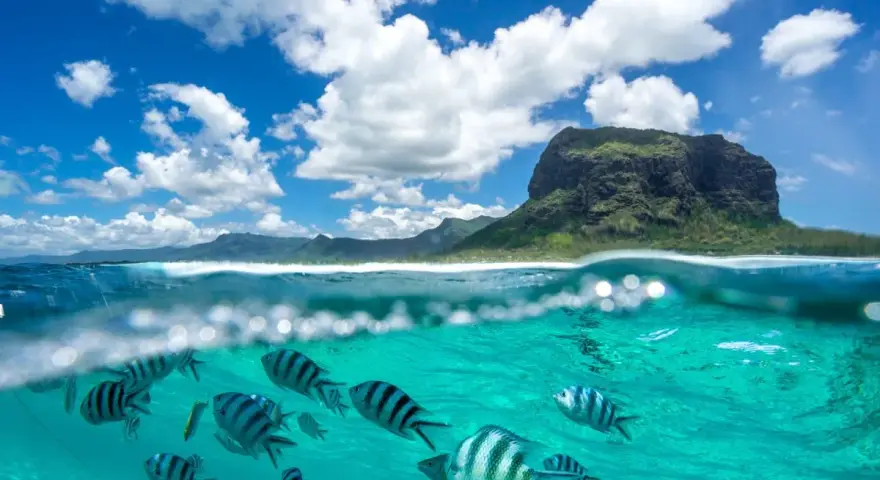 Podwodny świat Mauritiusa zachwyca. Uważaj na prądy, ale podziwiaj ryby i górę Le Morne Brabant.