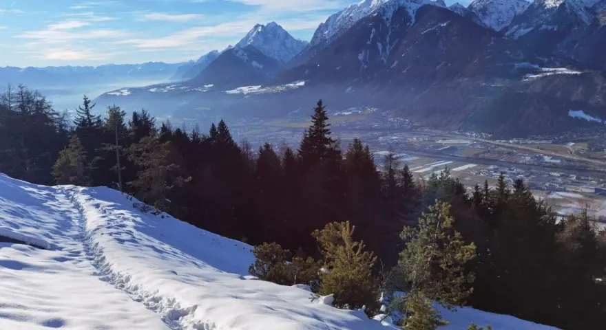 Schneebedeckte Berge über Innsbruck im Winter. Eine Spur führt durch den Schnee bergab, vorbei an dunklen Tannen.