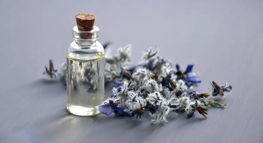 Jak zrobić odświeżacz powietrza z perfum? DIY, przepisy, triki!