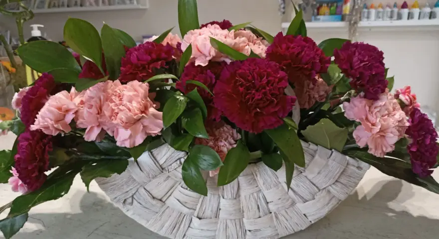 Piękne kompozycje z goździków w koszu. Różowe i bordowe kwiaty z zielonymi liśćmi tworzą elegancką całość.