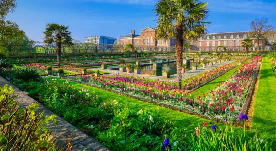 Kwiatowe rabaty i palmy w ogrodach Kensington Palace, Londyn.