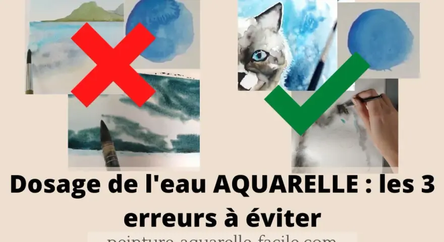 Exemples de peinture à l'acrylique et à l'eau : une croix rouge sur des paysages et une coche verte sur un chat.