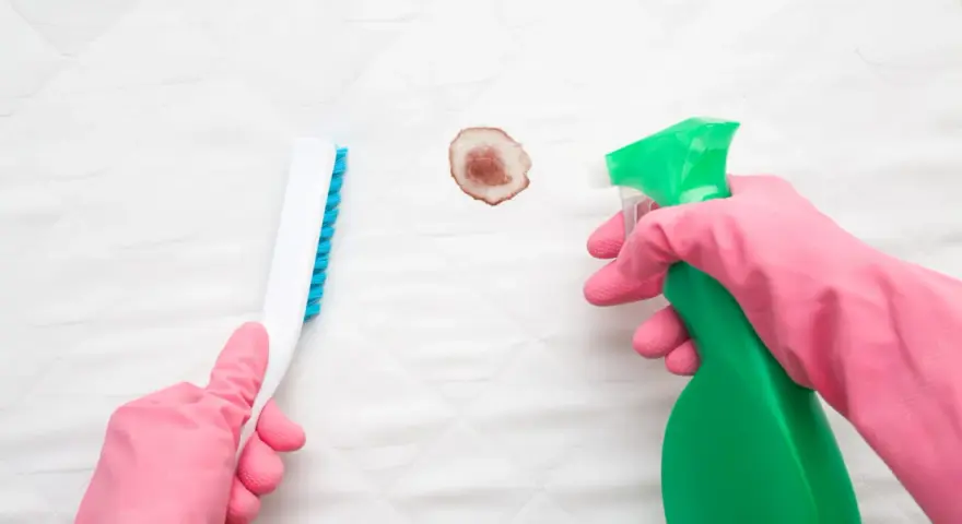 Mains gantées de rose utilisant un spray et une brosse pour enlever une tache de sang déjà lavée sur un matelas blanc.