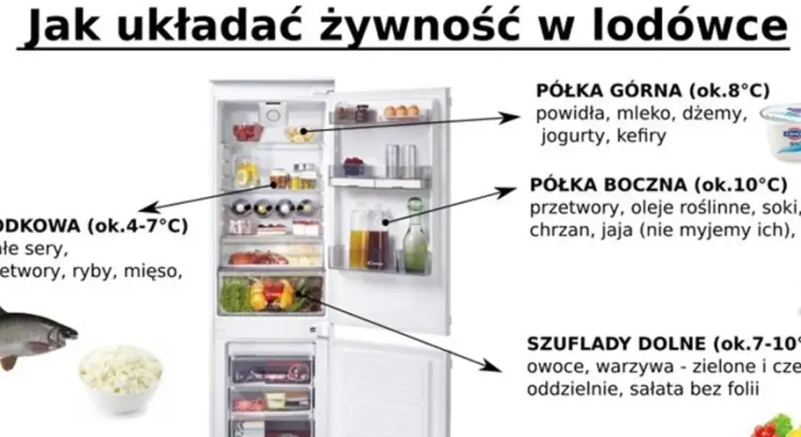 Otwarta lodówka z zaznaczonymi półkami i produktami spożywczymi, obok ryba i miska z twarożkiem.