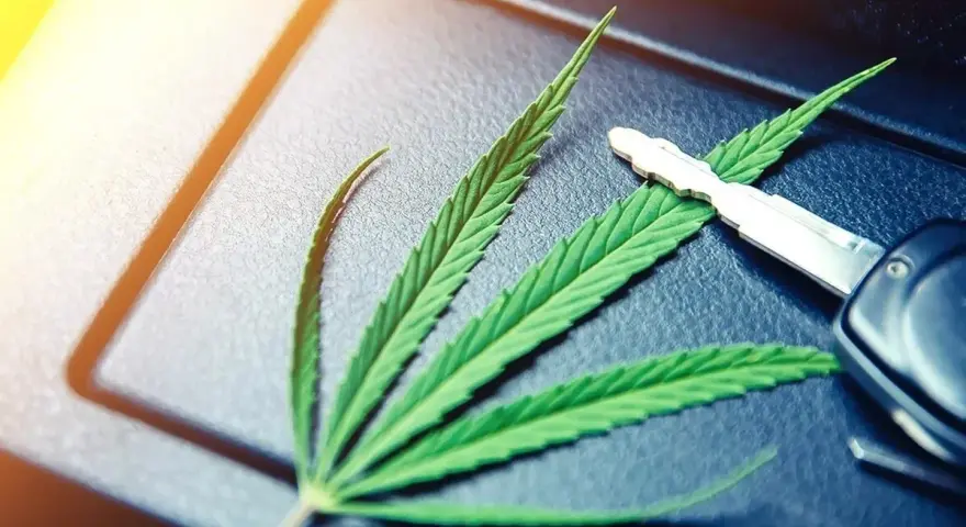 Privatrezept Cannabisblüten Autofahren: Rechtliche Risiken und Tipps