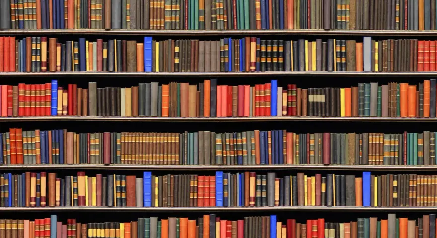 Estanterías repletas de libros que hay que leer antes de morir. Una vasta colección de conocimiento y aventuras esperando ser descubiertas.