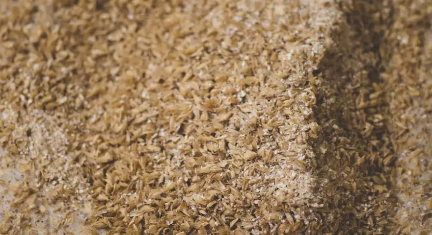 Nahaufnahme von Getreide, das für das Schnaps Maische ansetzen vorbereitet wird. Die Körner sind leicht feucht und bilden eine Textur.
