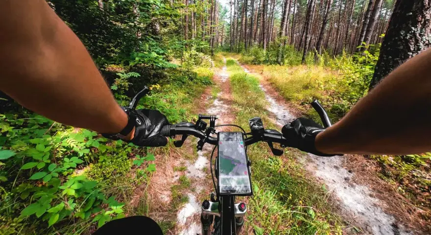 Józefów Roztocze: Atrakcje, Trasy Rowerowe i Niezapomniany Wypoczynek