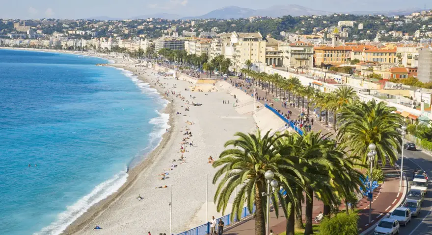 Spiaggia di Nizza, un luogo ideale per pensare a come trovare lavoro all'estero, con palme e mare azzurro.