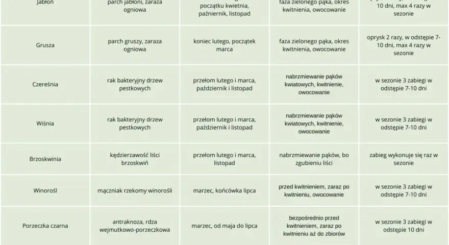 Kiedy pryskać miedzianem drzewa owocowe? Tabela podpowiada terminy oprysków jabłoni, grusz, czereśni, wiśni, brzoskwiń, winorośli, porzeczek i borówek.