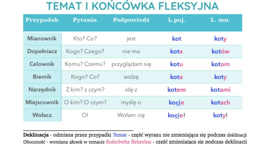 Tabela pokazuje odmianę rzeczownika "kot" przez przypadki, odpowiadając na pytania.
