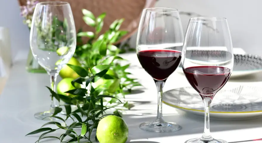 Dwa kieliszki z czerwonym winem, zielone limonki i gałązki tworzą elegancką kompozycję. Idealna sceneria, by dowiedzieć się, jak pić porto.
