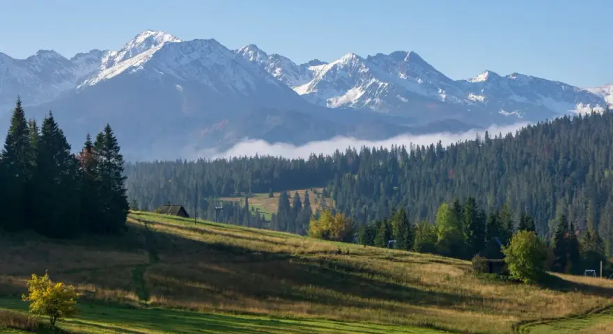 Gubałówka wysokość. Majestatyczne Tatry z ośnieżonymi szczytami górują nad zielonymi zboczami i gęstym lasem.