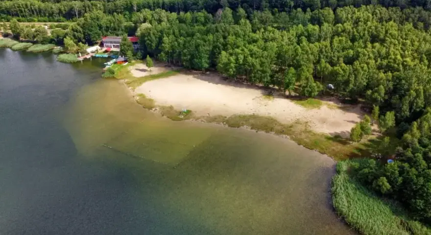 Piękny, piaszczysty brzeg nad zbiornikiem Pogoria, otoczony zielonym lasem. W oddali widać budynek z pomostem i łódkami.