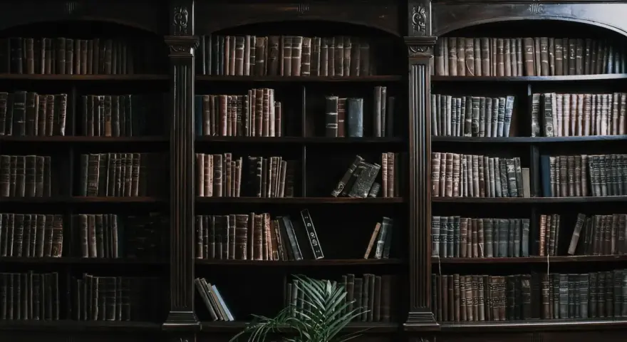 Estanterías repletas de libros antiguos, evocando la espera del **envío de manuscritos a editoriales** para su publicación.