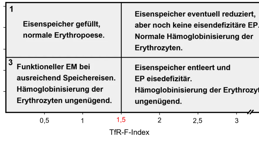 Diagramm zeigt vier Stadien der Eisenversorgung. Quadrant 4 beschreibt einen Zustand, bei dem der Eisenspeicher entleert ist und die Hämoglobinisierung der Erythrozyten ungenügend ist, was auf zu niedriges Ferritin hinweist.