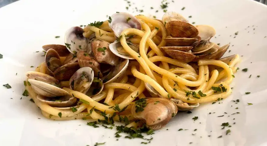 Spaghetti con lupini di mare freschi, un piatto che profuma di mare e tradizione, guarnito con prezzemolo tritato.
