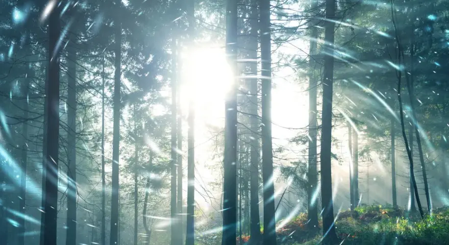 Promienie słońca przebijają się przez drzewa w lesie, tworząc magiczną aurę. W powietrzu unoszą się iskierki, jakby to był tekst "Sol Invictus".