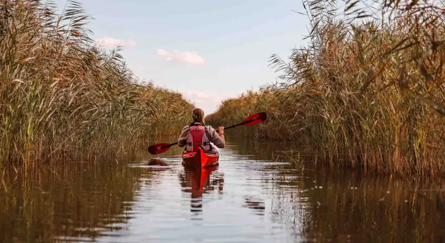 Kajakfahrer gleitet durch Schilf am Neusiedler See.