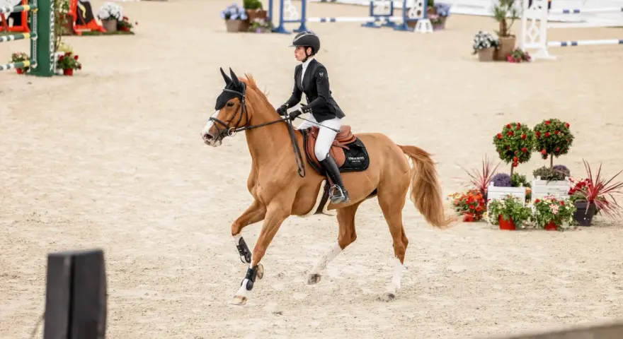 Une cavalière en tenue de concours, sur un cheval bai, effectue un galop 1 sur la piste de saut d'obstacles.