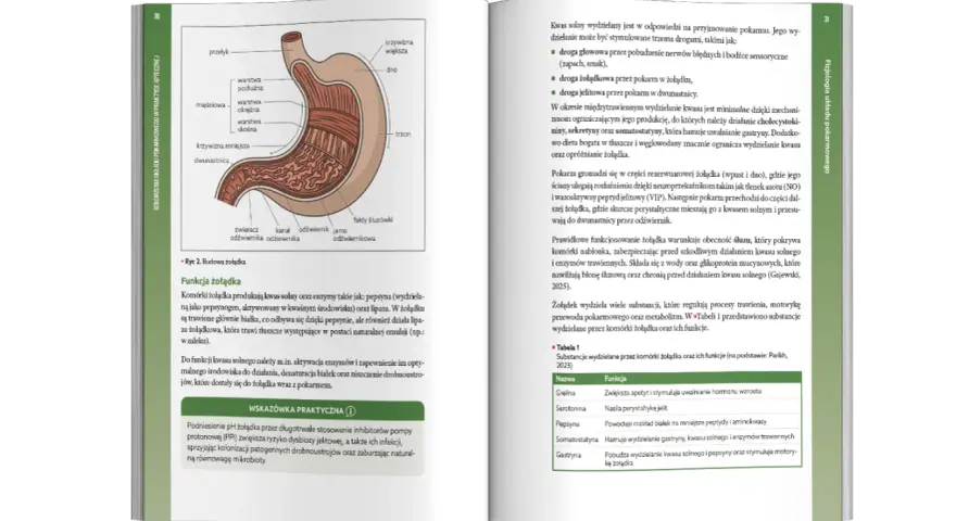 Helicobacter pylori: Złoty standard leczenia w Polsce leki i schematy