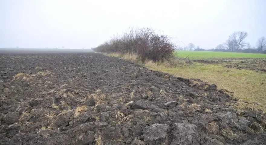 Pola uprawne i zarośla na tle mglistego krajobrazu. Zastanawiasz się, ile kosztuje hektar ziemi?