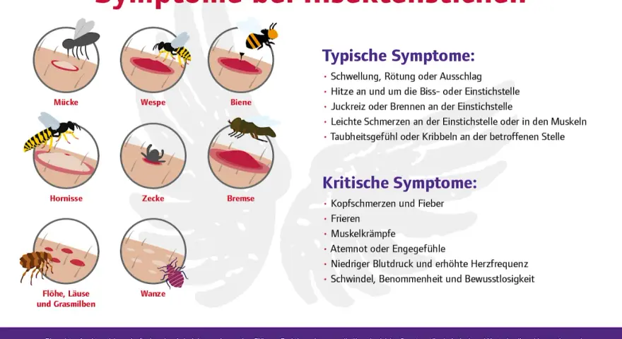 Illustrationen zeigen verschiedene Insektenstiche und ihre Symptome, wie Schwellung und Rötung. Eine wundrose nach insektenstich kann verschiedene Ursachen haben.