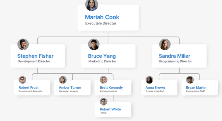 Organizational chart showing the small non profit organization structure titles: Executive Director, Development Director, Marketing Director, Programming Director, and their staff.