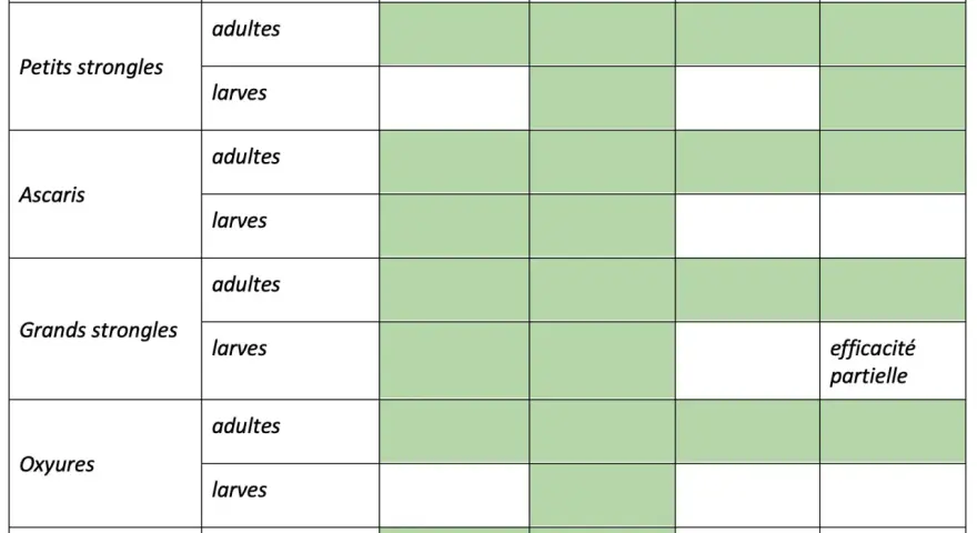 Tableau comparant l'efficacité de divers antiparasitaires contre les vers des chevaux (adultes et larves) : petits strongles, ascaris, grands strongles, oxyures, gastérophiles.