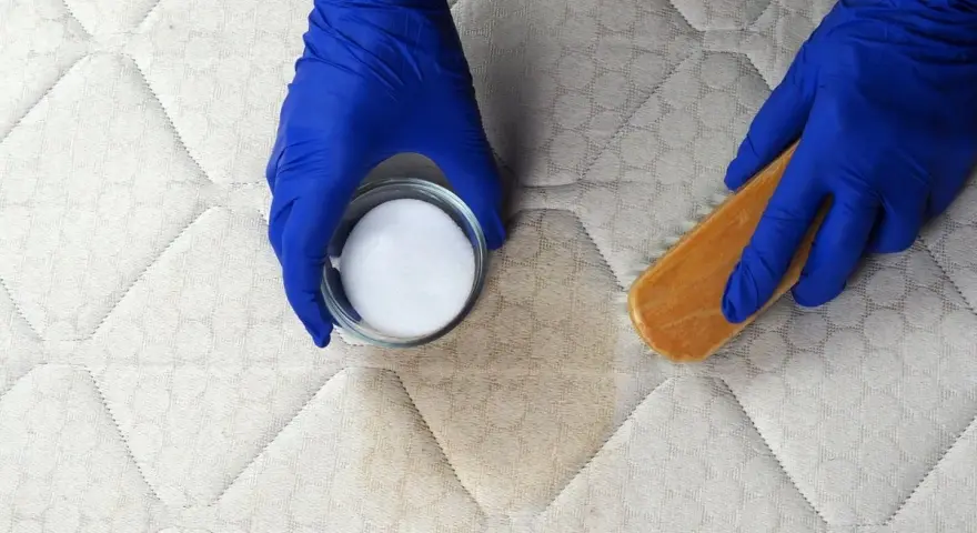 Mains gantées enfilées, on s'apprête à enlever une tache de sang sur un matelas avec une poudre blanche et une brosse.