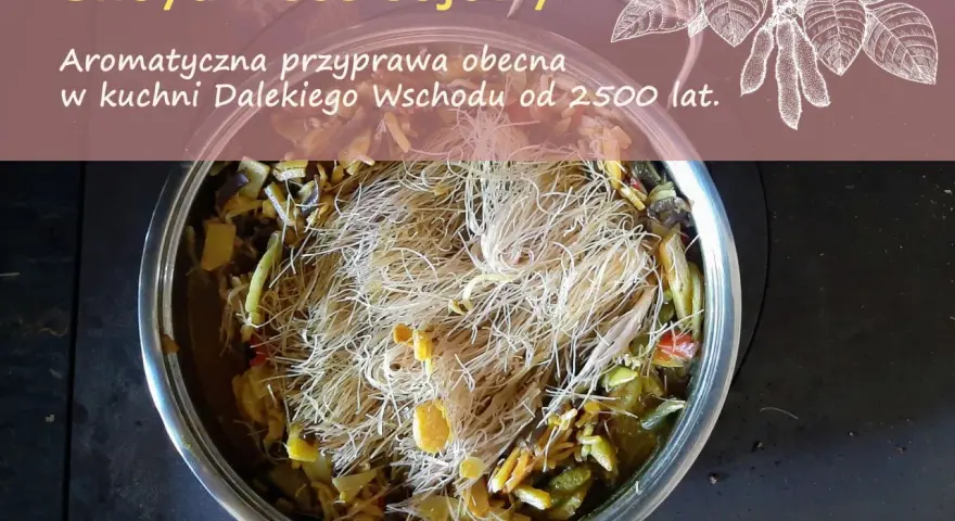 Garnek z daniem z makaronem i warzywami, ozdobiony rysunkiem liści soi.