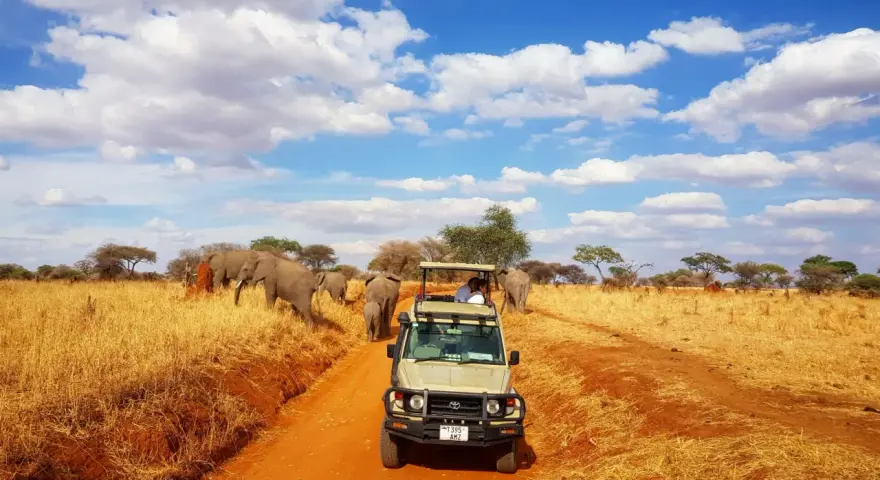 Niesamowite safari w Tanzanii! Słońce, chmury i stado słoni na tle sawanny. W oddali widać samochód terenowy z turystami.