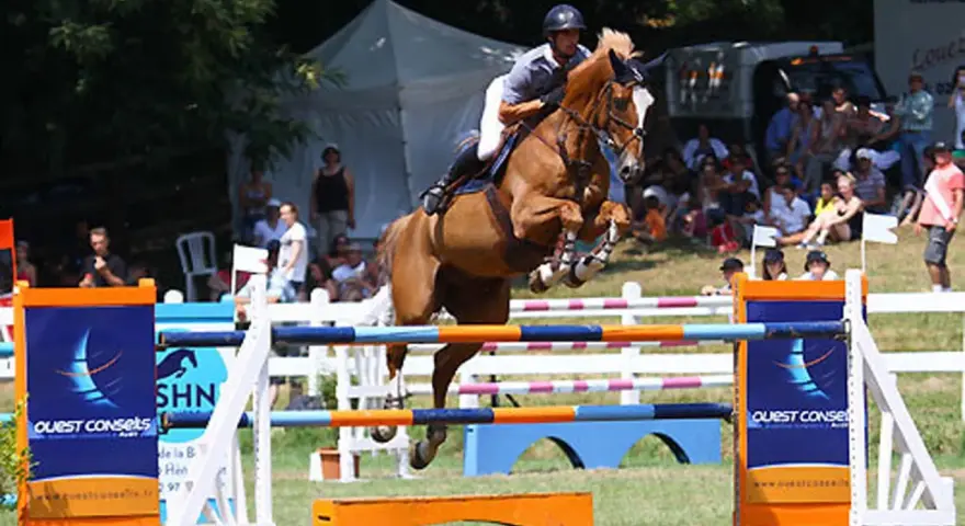 Un cheval brun saute par-dessus une barrière lors d'une compétition équestre, montrant un bel élan de la cour. Le cavalier est bien positionné.