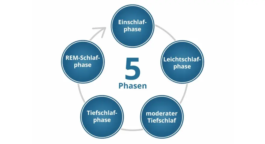 Der Schlafzyklus besteht aus 5 Phasen: Einschlaf-, Leichtschlaf-, Tiefschlaf-, moderater Tiefschlaf- und REM-Schlaf-Phase.